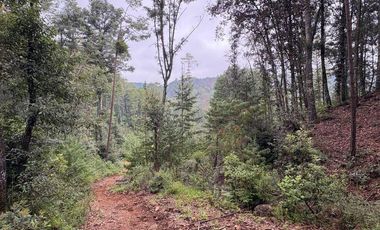 Lote / Terreno en Venta en Huasca de Ocampo