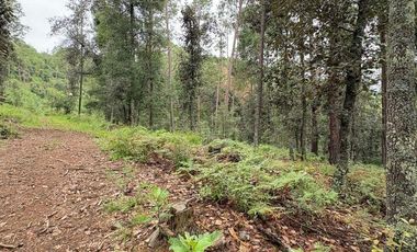 Lote / Terreno en Venta en Huasca de Ocampo