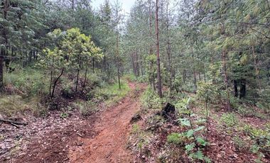 Lote / Terreno en Venta en Huasca de Ocampo