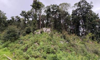 Lote / Terreno en Venta en Huasca de Ocampo