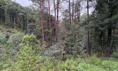 Lote / Terreno en Venta en Huasca de Ocampo