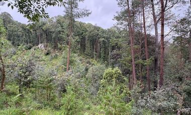 Lote / Terreno en Venta en Huasca de Ocampo