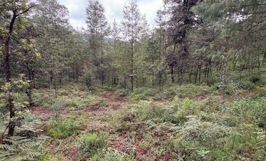 Lote / Terreno en Venta en Huasca de Ocampo