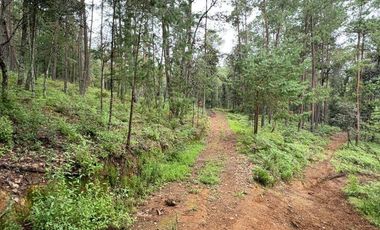 Lote / Terreno en Venta en Huasca de Ocampo