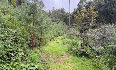 Lote / Terreno en Venta en Huasca de Ocampo