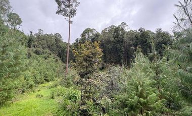 Lote / Terreno en Venta en Huasca de Ocampo