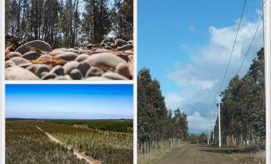 Parcelas planas de 5000 m² con rol y fact. de luz en Chillan