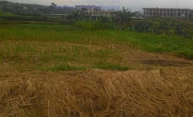 Jual Hotel Resort Bintang 5 Jawa Barat di Bogor