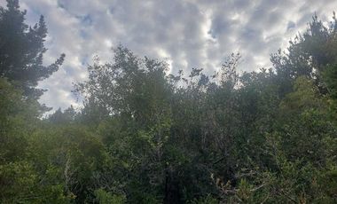 Parcela en venta en COLBÚN