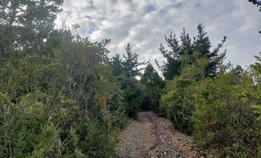 Parcela en venta en COLBÚN