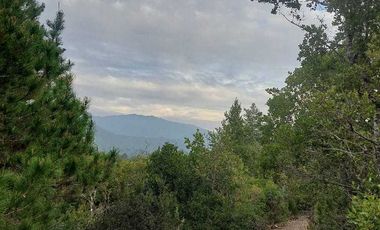 Parcela en venta en COLBÚN