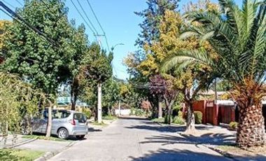 Departamento en Arriendo en Los Laureles/Los Maitenes