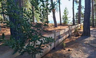 Sitio en Venta en F-818-G, Casablanca, Valparaíso