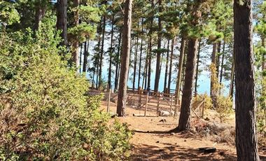 Sitio en Venta en F-818-G, Casablanca, Valparaíso