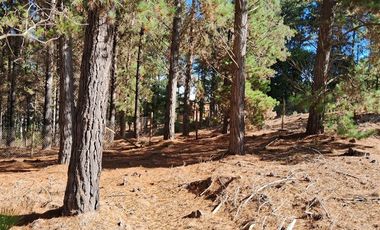 Sitio en Venta en F-818-G, Casablanca, Valparaíso