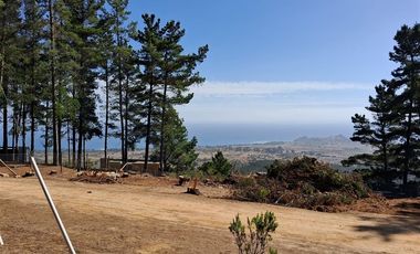 Sitio en Venta en F-818-G, Casablanca, Valparaíso