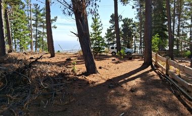 Sitio en Venta en F-818-G, Casablanca, Valparaíso