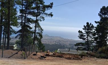 Sitio en Venta en F-818-G, Casablanca, Valparaíso