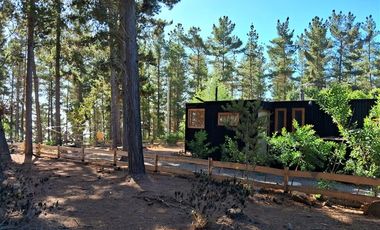 Sitio en Venta en F-818-G, Casablanca, Valparaíso