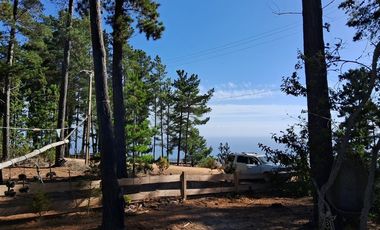 Sitio en Venta en F-818-G, Casablanca, Valparaíso