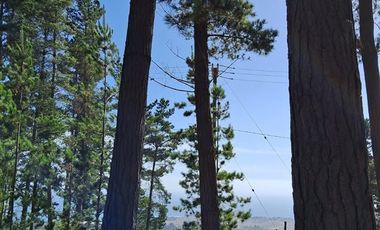 Sitio en Venta en F-818-G, Casablanca, Valparaíso