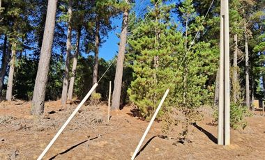 Sitio en Venta en F-818-G, Casablanca, Valparaíso