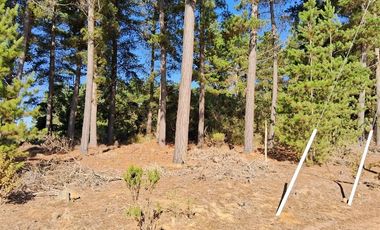 Sitio en Venta en F-818-G, Casablanca, Valparaíso