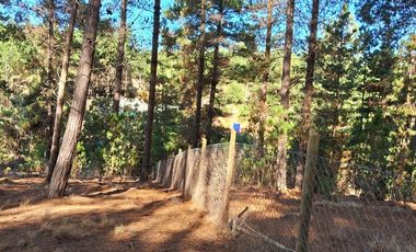 Sitio en Venta en F-818-G, Casablanca, Valparaíso