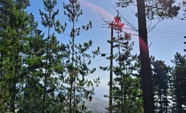 Sitio en Venta en F-818-G, Casablanca, Valparaíso