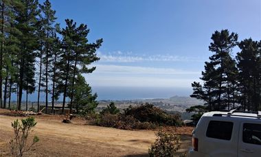 Sitio en Venta en F-818-G, Casablanca, Valparaíso