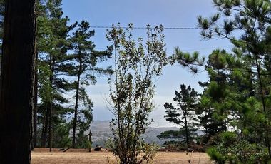 Sitio en Venta en F-818-G, Casablanca, Valparaíso