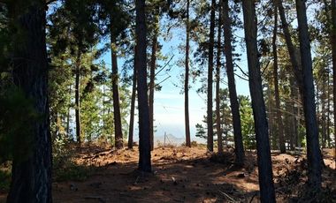 Sitio en Venta en F-818-G, Casablanca, Valparaíso