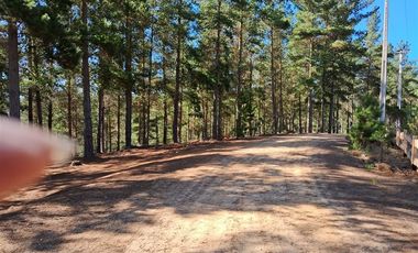 Sitio en Venta en F-818-G, Casablanca, Valparaíso