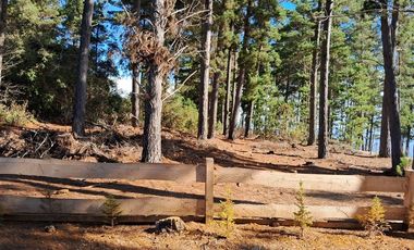 Sitio en Venta en F-818-G, Casablanca, Valparaíso