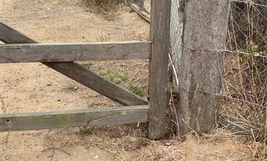 Sitio en Venta en F-818-G, Casablanca, Valparaíso