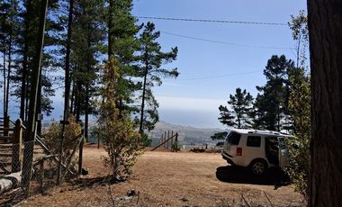 Sitio en Venta en F-818-G, Casablanca, Valparaíso