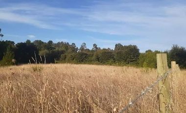 VENTA PARCELA 7022MTS Osorno