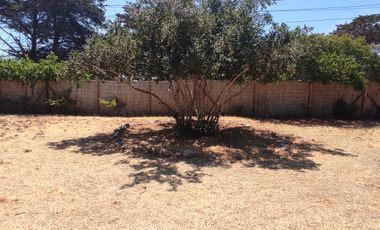 ARRIENDO EN ALGARROBO NORTE, CASA CON ESPACIO COMPARTIDO