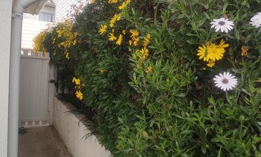 CABAÑA EN CONDOMINIO CERRADO A PASOS DE TODO