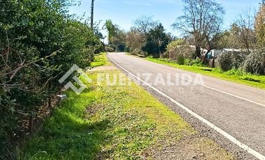 Parcela en Venta en Sector Trabuncura Comuna de San Fabián