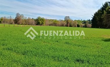 Parcela en Venta en Sector Trabuncura Comuna de San Fabián