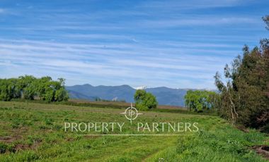 Gran campo cercano a Linares