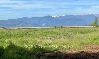 Gran campo cercano a Linares