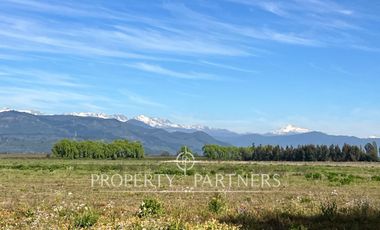 Gran campo cercano a Linares