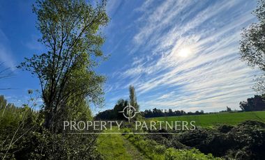 Gran campo cercano a Linares