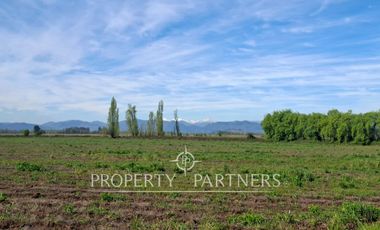 Gran campo cercano a Linares