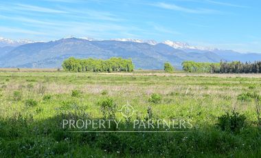 Gran campo cercano a Linares