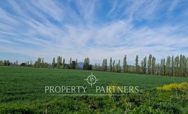 Gran campo cercano a Linares