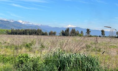 Gran campo cercano a Linares