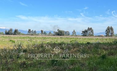 Gran campo cercano a Linares